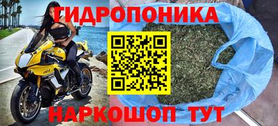 крисы Пугачёв