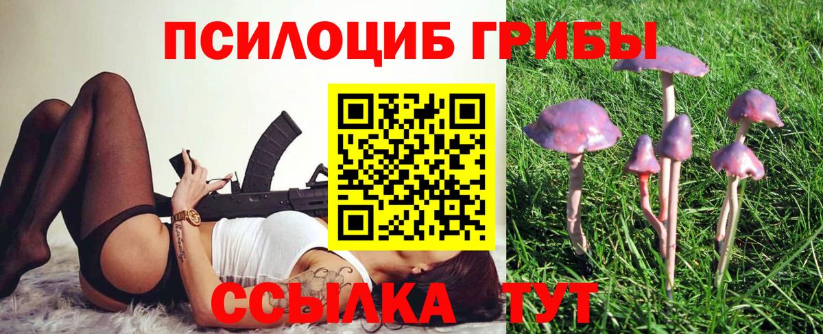 Галлюциногенные грибы мицелий  Псилоцибиновые грибы Psilocybine cubensis  Петрозаводск  Вход с VPN 